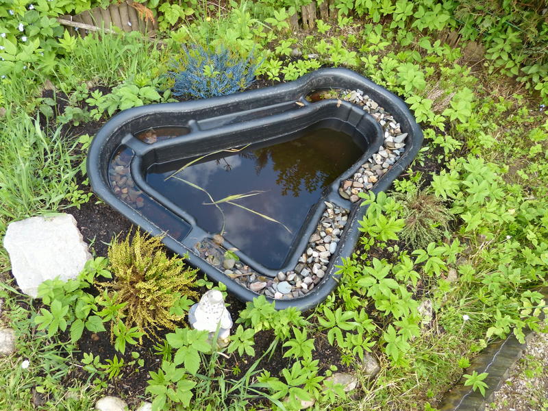 Kommt ein Molch hier wieder allein raus? Garten Gartenforum.de