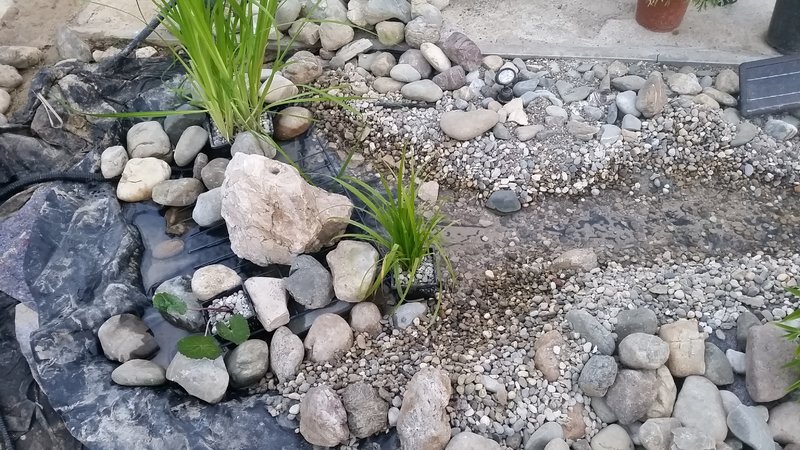 kleiner teich mit bachlauf Garten Gartenforum.de