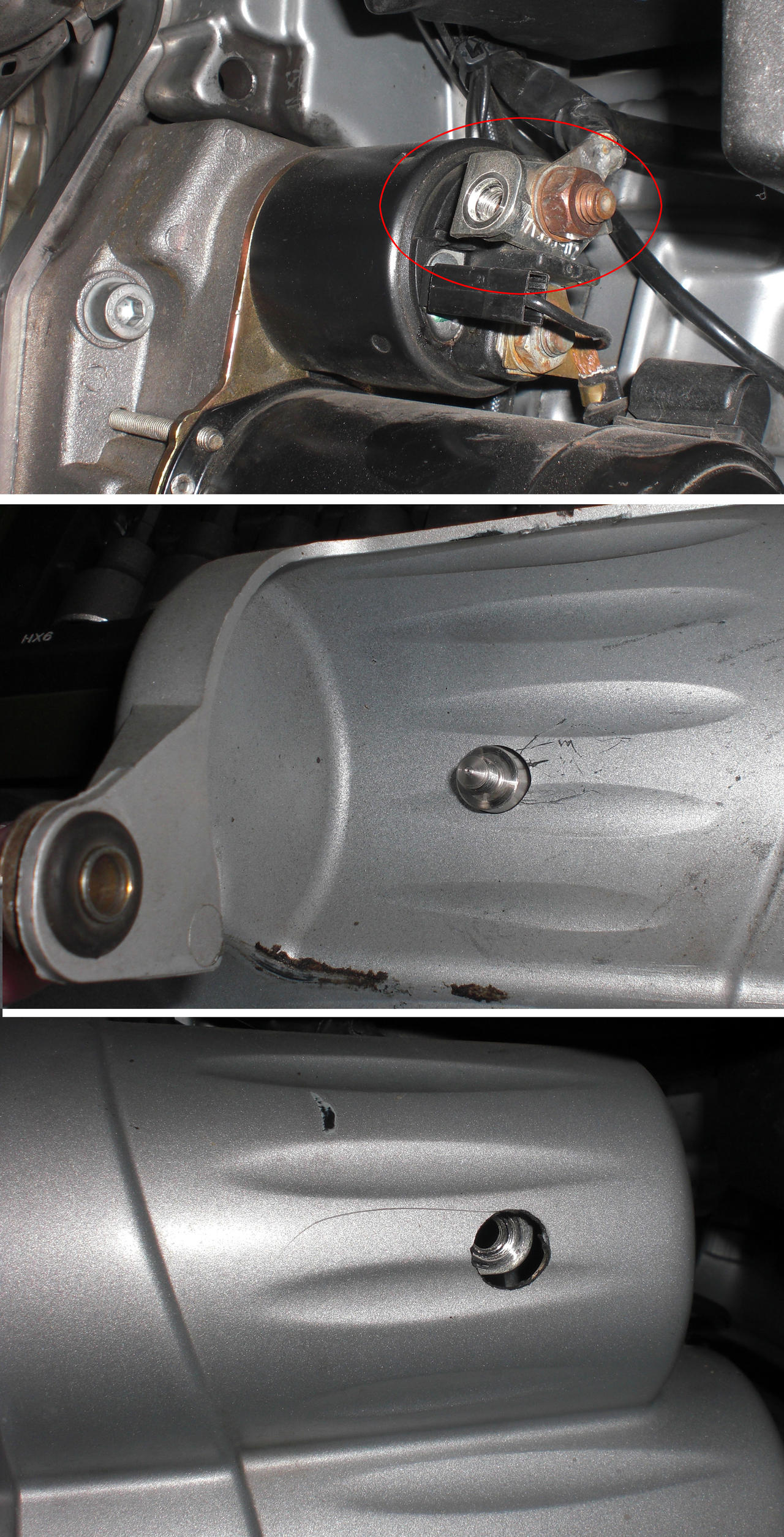 S Boxer Forum