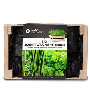 Mini-Garten BIO-Schnittlauch & BIO-Petersilie (1 Kiste)