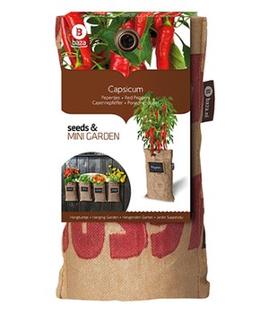 Mini-Garten BIO-Cayennepfeffer (1 Komplett-Set)