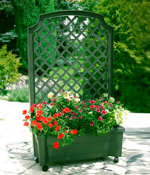 �Calypso� Pflanzkasten auf Rollen mit Bew�sserungssystem + Spalier �gr�n� (1 St�ck)