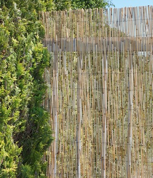 Sichtschutzmatte aus Schilfrohr 1x3 m (1 St�ck)