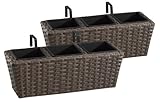 GARTENFREUDE Polyrattan Balkonkasten Blumenkasten 2 St�ck inkl. Aufh�ngung, 47 x 17 x 15 cm, mit 3-er Kunststoffeinsatz, cappuccino