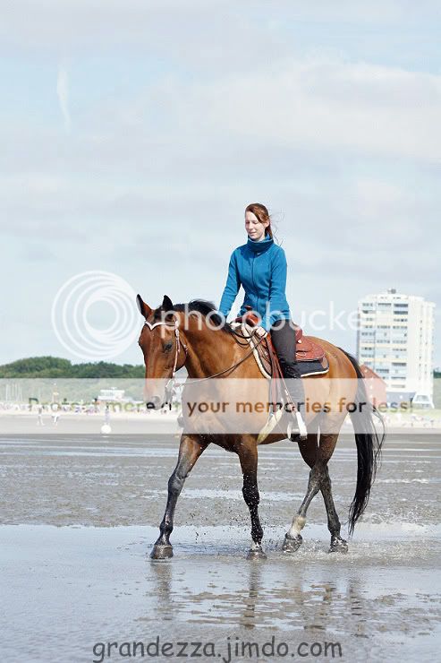 Eure Westernpferde - Seite 4 - Forum Pferd.de