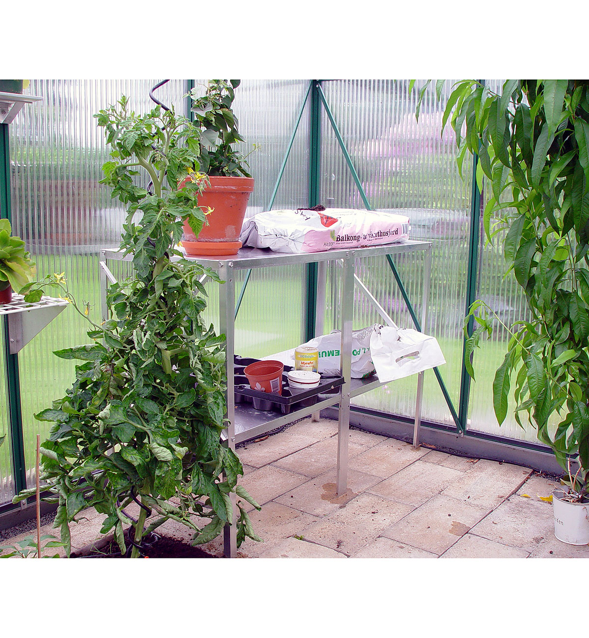 Juliana Alu-Tisch, 2 Sektionen