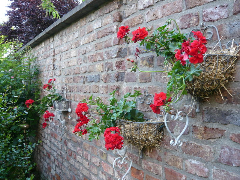 Mauern aus alten Ziegeln - Garten: Gartenforum.de