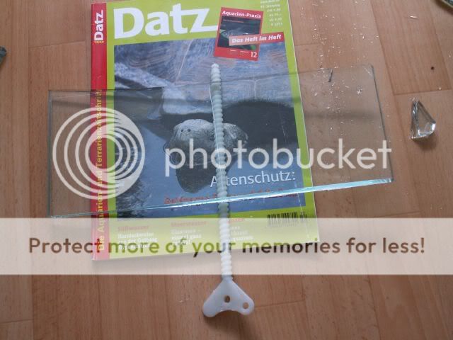 Meine Schlafzimmeranlage - Aquarium Forum