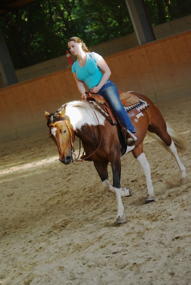 Wie Reitet Man Ein Pferd Durchs Genick