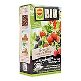 COMPO BIO Beeren Langzeit-D�nger mit Schafwolle 2 kg rein organisch
