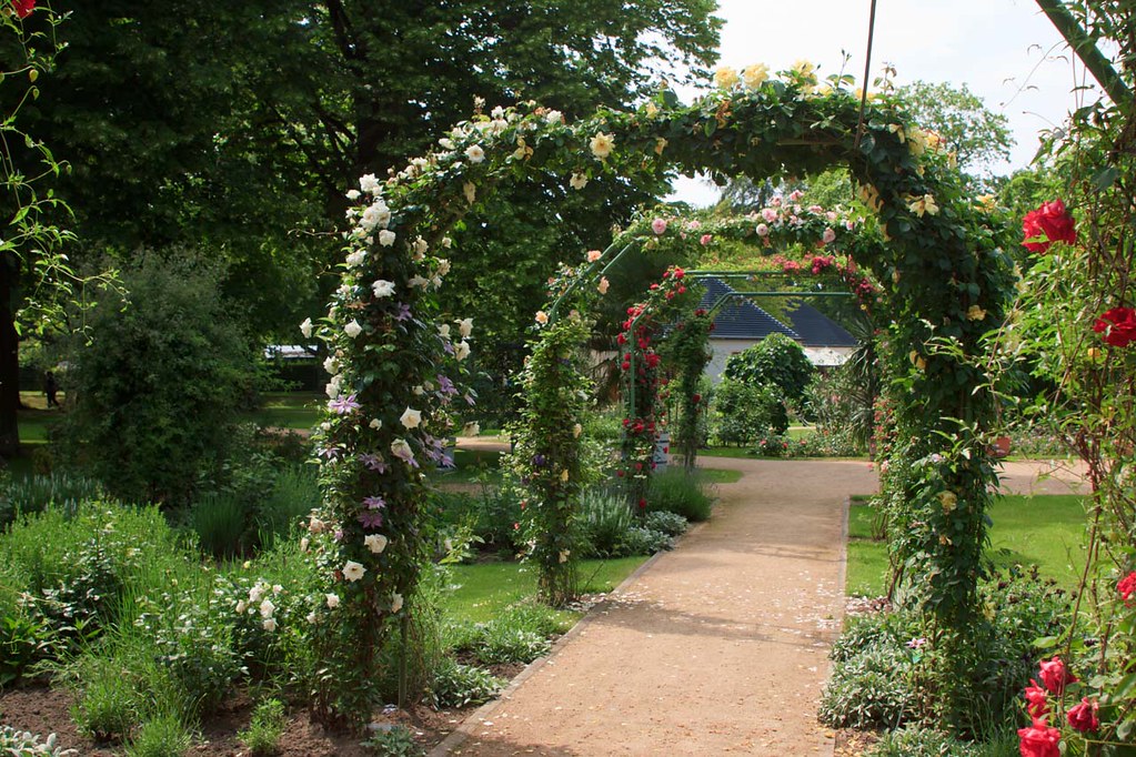 Rosenbogen ja oder nein? Garten Gartenforum.de