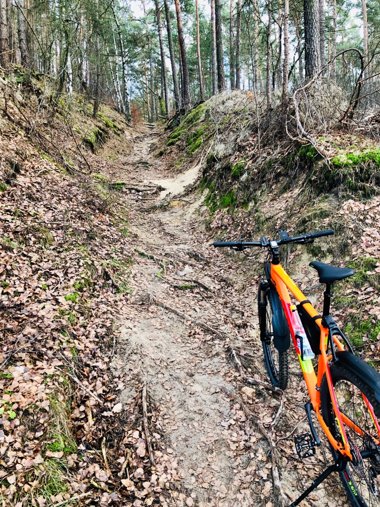 fahrrad leihen potsdam