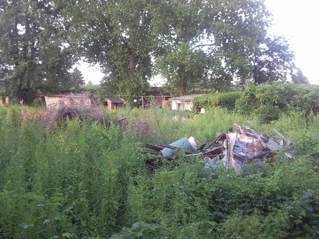 Tote Kolonie dank A100 Berlin Garten Gartenforum.de