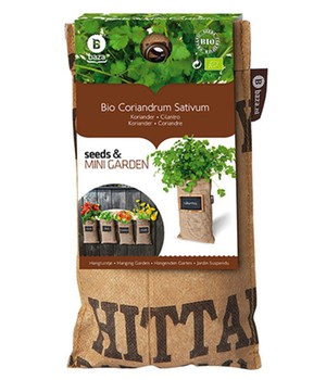Mini-Garten BIO-Koriander (1 Komplett-Set)