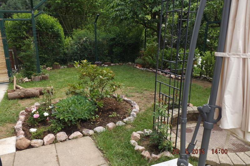 gesicherter Katzengarten - Garten: Gartenforum.de