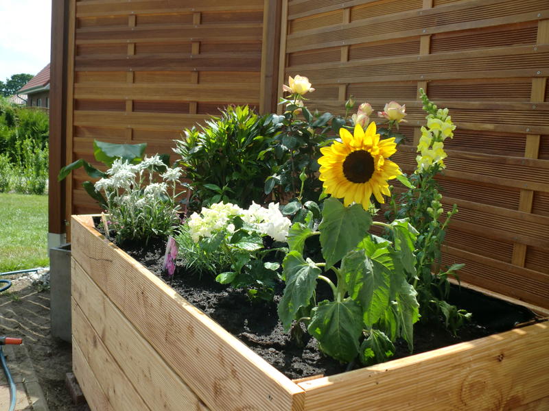 Mein erster &quot;Herbstschnitt&quot; steht an. Garten Gartenforum.de